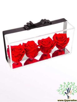 رز جاویدان RI41 Rose Immortal