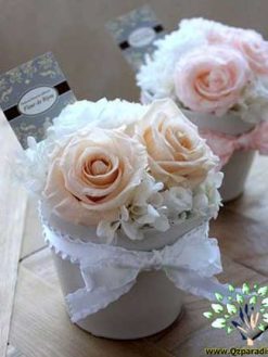 رز جاویدان RI42 Rose Immortal