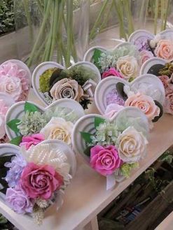 رز جاویدان RI44 Rose Immortal