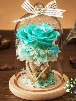 رز جاویدان RI45 Rose Immortal