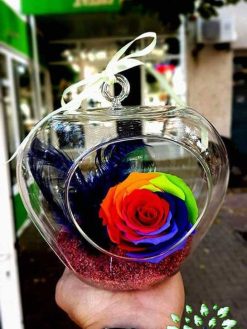 رز جاویدان RI46 Rose Immortal