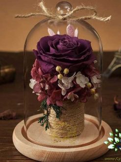 رز جاویدان RI47 Rose Immortal