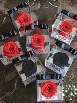 رز جاویدان RI54 Rose Immortal