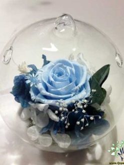 رز جاویدان RI56 Rose Immortal