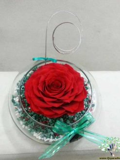 رز جاویدان RI58 Rose Immortal