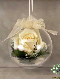 رز جاویدان RI61 Rose Immortal