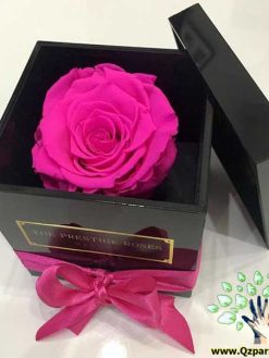 رز جاویدان RI62 Rose Immortal