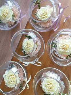 رز جاویدان RI68 Rose Immortal