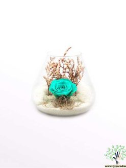 رز جاویدان RI7 Rose Immortal