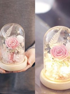 رز جاویدان RI70 Rose Immortal