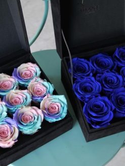 رز جاویدان RI71 Rose Immortal