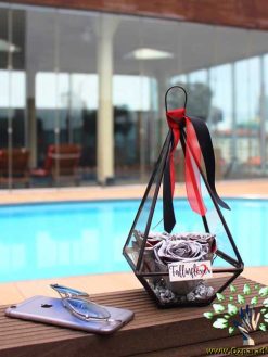 رز جاویدان RI73 Rose Immortal