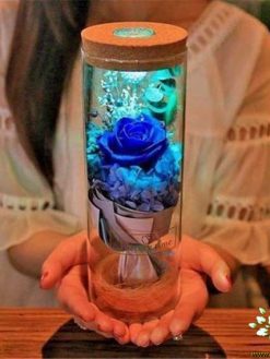 رز جاویدان RI77 Rose Immortal