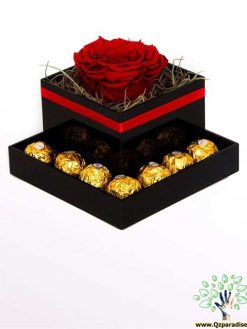 رز جاویدان RI80 Rose Immortal