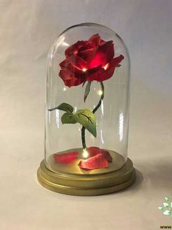 رز جاویدان RI83 Rose Immortal