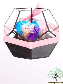 رز جاویدان RI85 Rose Immortal