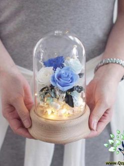 رز جاویدان RI86 Rose Immortal