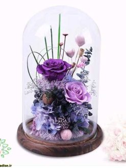 رز جاویدان RI87 Rose Immortal