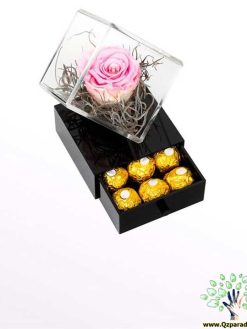 رز جاویدان RI91 Rose Immortal