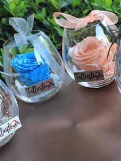 رز جاویدان RI93 Rose Immortal