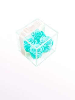 رز جاویدان RI97 Rose Immortal