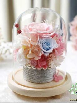 رز جاویدان RI99 Rose Immortal