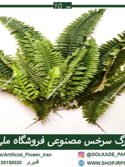 دیوار سبز برگ سرخس