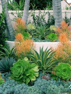 بام سبز GR11 Green roof