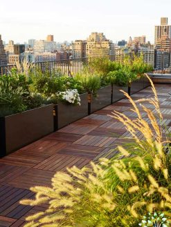بام سبز GR15 Green roof