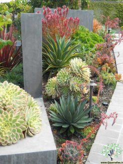 بام سبز GR25 Green roof