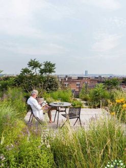 بام سبز GR34 Green roof