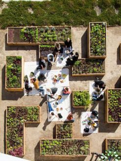 بام سبز GR41 Green roof