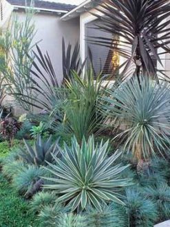 بام سبز GR45 Green roof