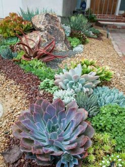 بام سبز GR51 Green roof