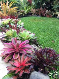 بام سبز GR54 Green roof