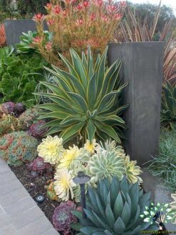 بام سبز GR60 Green roof