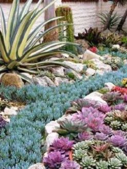 بام سبز GR69 Green roof