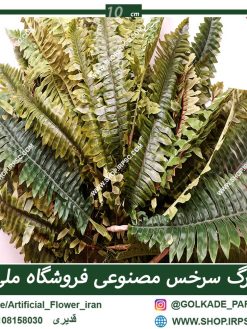 دیوار سبز طرح سرخس