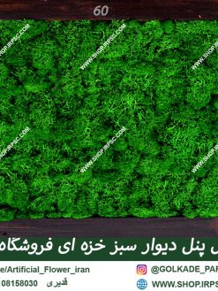 دیوار سبز مصنوعی خزه ای