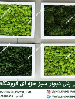 دیوار سبز مصنوعی خزه ای