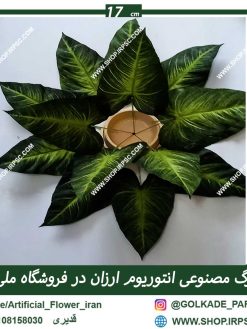 برگ مصنوعی آنتوریوم