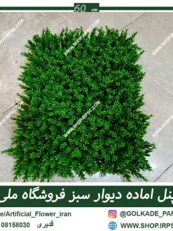 دیوار سبز اماده