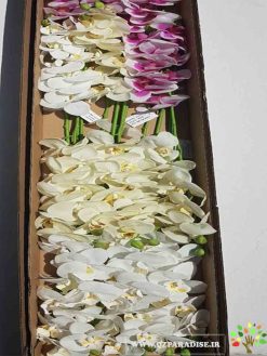 گل مصنوعی AFM108 Artificial Flower
