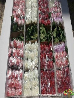 گل مصنوعی AFM120 Artificial Flower