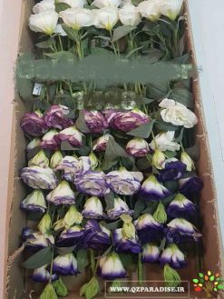 گل مصنوعی AFM126 Artificial Flower