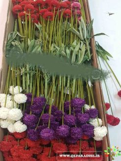 گل مصنوعی AFM127 Artificial Flower