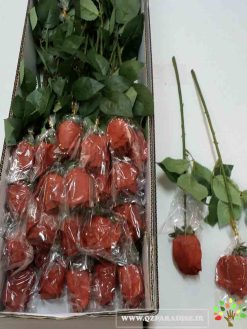 گل مصنوعی AFM135 Artificial Flower