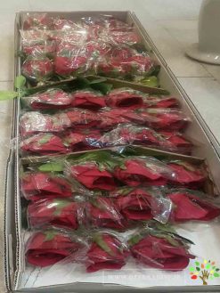 گل مصنوعی AFM69 Artificial Flower