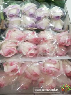 گل مصنوعی AFM71 Artificial Flower