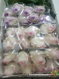 گل مصنوعی AFM72 Artificial Flower